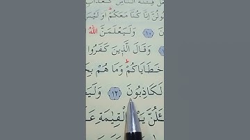سورة العنكبوت الأية 12 إلى 14 القارئ سعد الغامدي