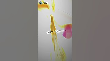 comment box link please subscribe an lick new video status 😜😜 XML😭🥰💞 Bangla  song comment box link