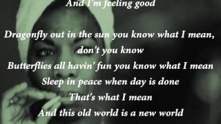 Nina Simone Feeling Good Lyrics Youtube