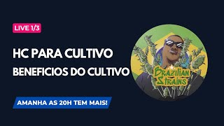 LIVE 1/3 - BENEFICIOS DO AUTO-CULTIVO, COMO CONSEGUIR O HC, SEGREDOS DO CULTIVO VEGA E FLORA!