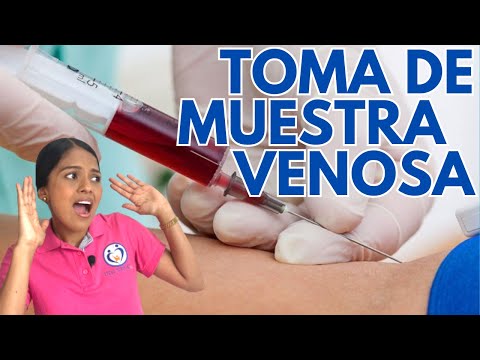 Venopunción: Procedimiento, Tipos Y Cuidados | Doctor Online