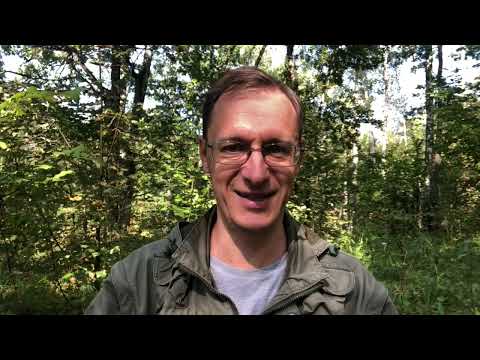 ЛОЖЬ - основа цивилизации. Врут все