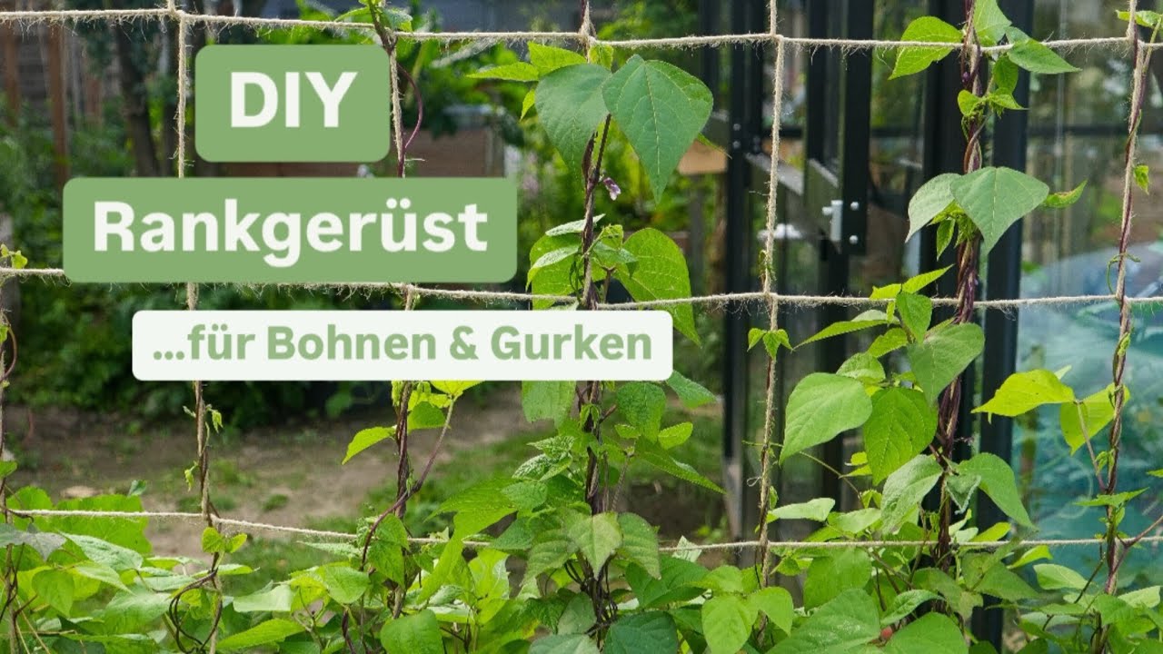 DIY Rankgerüst für Bohnen 🫘 Gurken 🥒 Kletterhilfe Bauanleitung ganz EASY gemacht 🙌🏻