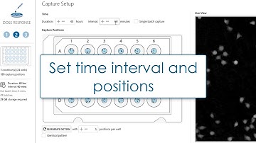 HoloMonitor® Live Cell Imaging Software | Experiment setup and Analysis in one minute
