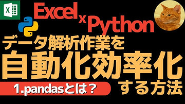 【有料級】Excel x Python データ解析作業を自動化効率化する方法 1.pandasとは？