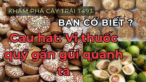#vn493Cau hạt: Vị thuốc quý gần gũi quanh ta#bts #cây #news #review 