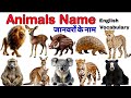 Animals Name | जानवरो के नाम | English Vocabulary | बच्चे को सिखाए जानवरों के नाम आसानी से#kidsvideo