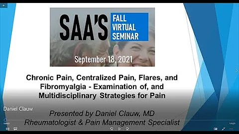 Chronic Pain, Centralized Pain, Flares, & Fibromyalgia: Examination and Multidisciplinar...  Strategies