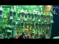 اغاني رمضان قي كل حته في شوارع مصر 