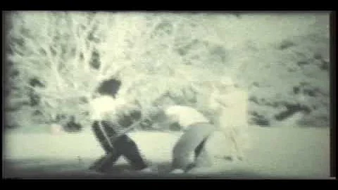 Classic Shou Shu 1980
