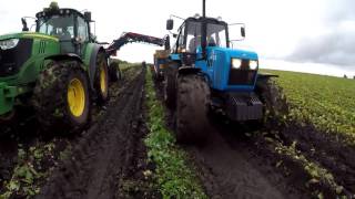 ASA-Lift T-200 DF столовая свекла / red beet harvesting