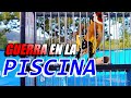 JILGUERO SILVESTRE/GUERRA EN LA PISCINA/Jilguero cantando en la piscina.