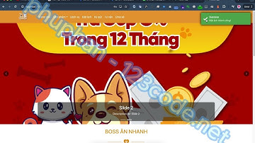 [Đồ án 2024] P3 Nodejs express reactjs mongoDB - Pet manage - 123code.net