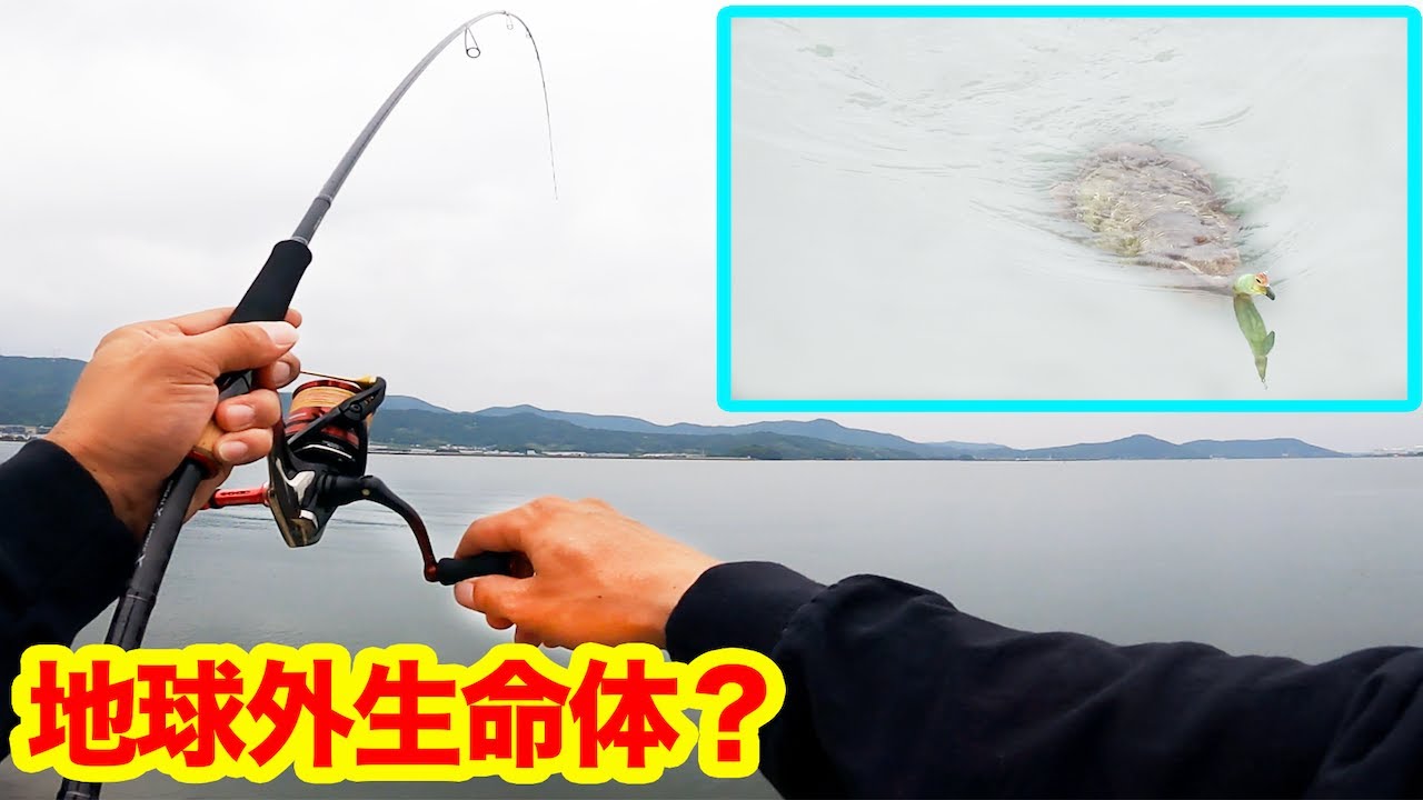 その眼で睨まれるとホントに怖い...