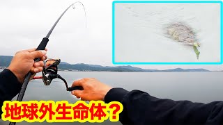 その眼で睨まれるとホントに怖い...