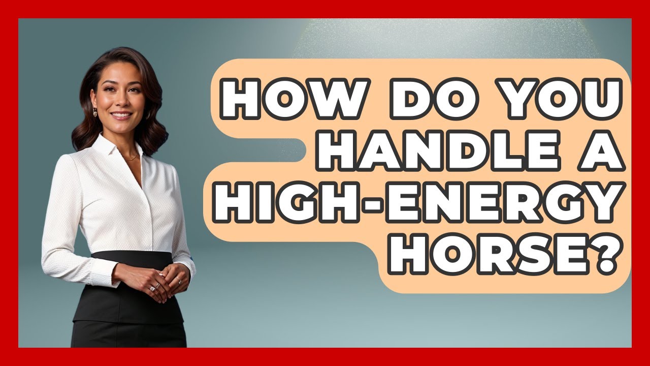 How Do You Handle A High-energy Horse? - The Horses Stable
