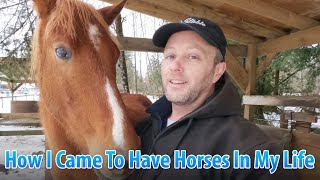My Story: How I Got In To And Learned About Horses And My Horsemanship