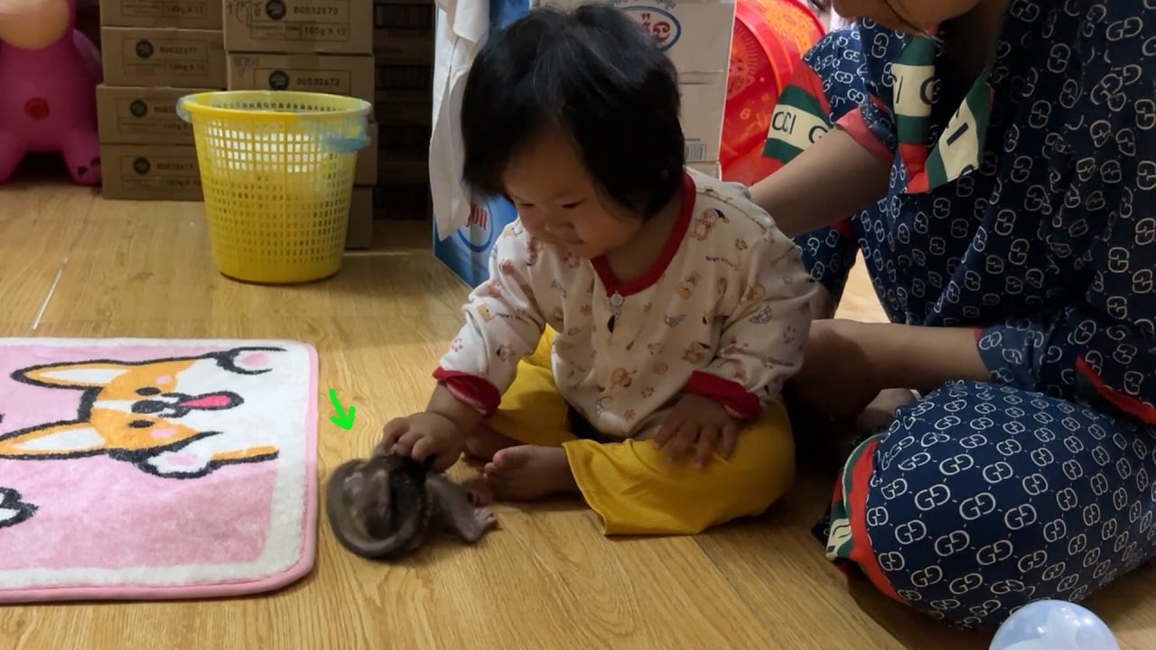 OHHH NOOO!!!! Innocent Lil Baby Girl P-ush Newborn Baby Monkey away When She Try To Play With