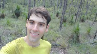 Exploring The Forest