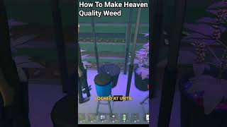 Making Heavenly Quality Weed In Schedule 1