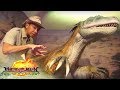 Matanglawin: Mind Museum's Dinosaurs
