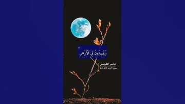 سورة الرعد الاية 24-26