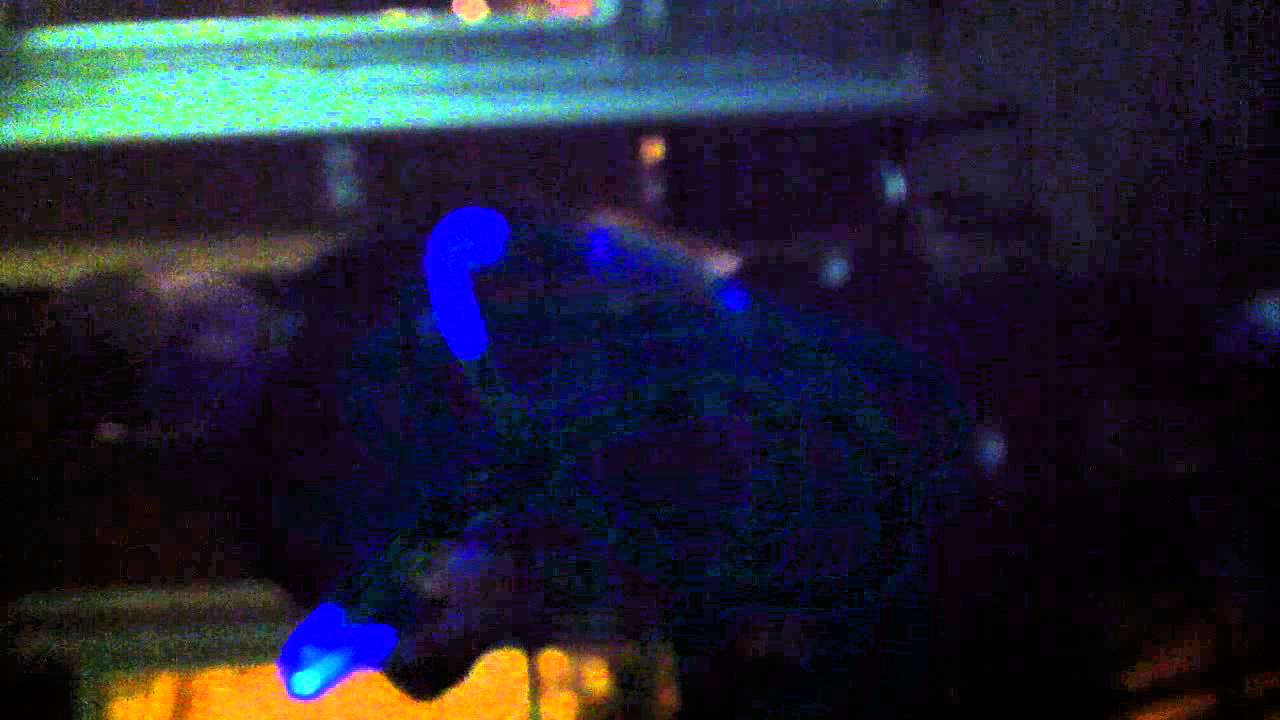 light show at Coffeeshop Voyagers