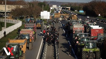 French Farmers Block Highways To Protest Culling Of Cattle Amid Disease Outbreak | VERTEX