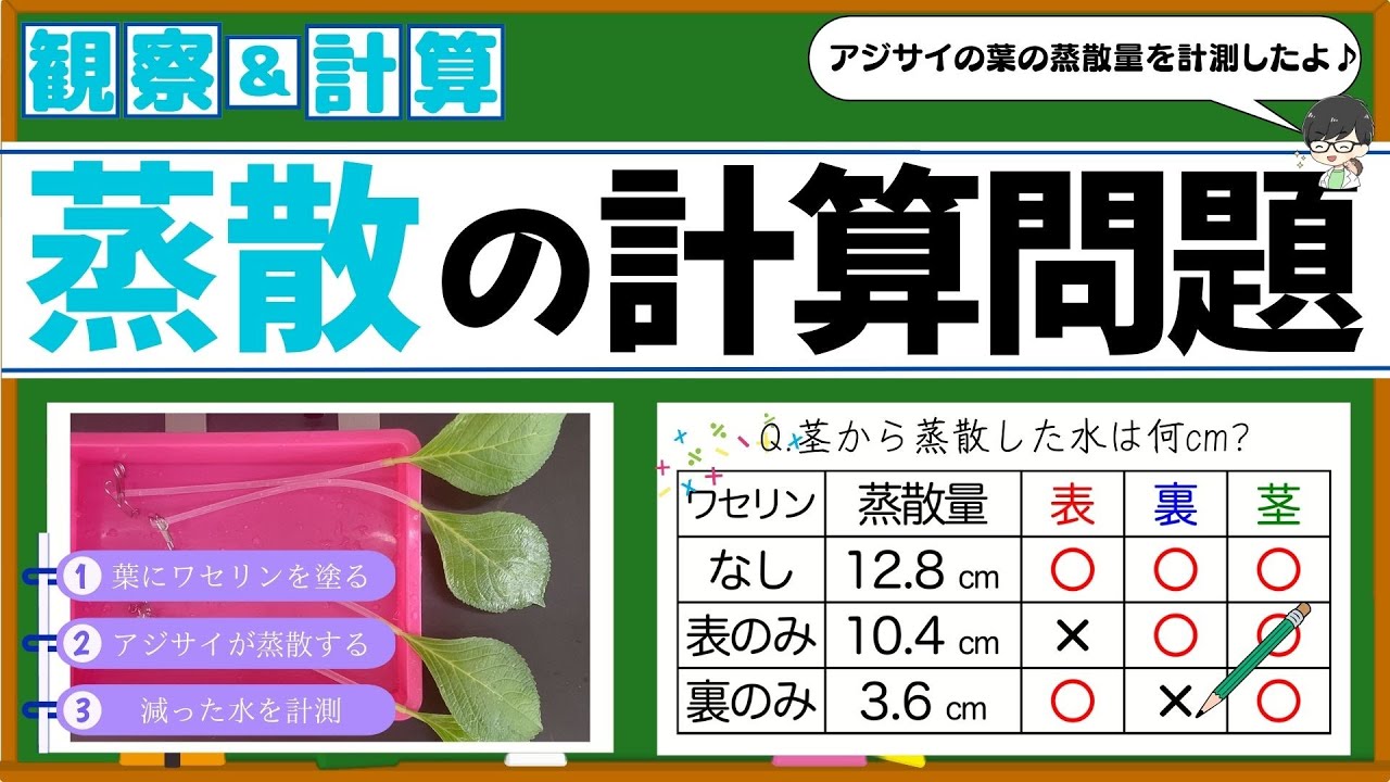 蒸散の計算を攻略しよう！アジサイの葉で実験もしたよ！【中学理科】