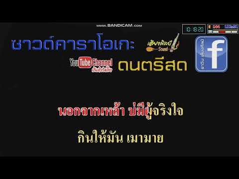 แก้วนี้แด่ที่รัก - ปอยฝ้าย มาลัยพร Cover karaoke [คาราโอเกะแสดงสด]