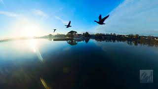 Vol Avec Les Oiseaux De Cap Coz Mavic Air 2 Insta 360One X2