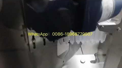 Automatic syringe filling and capping machine line