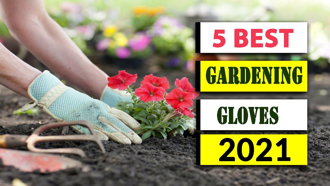 Best Gardening Gloves in 2021 [Gardening Gloves Reviews] YouTube