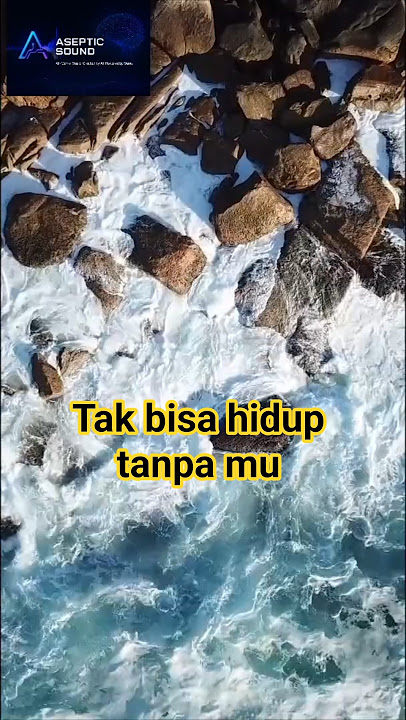 Tak bisa hidup tanpa mu #shortviral #lagugalau #videomusik #trendingshorts