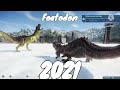 Evolution of Foetodon 2005-2021