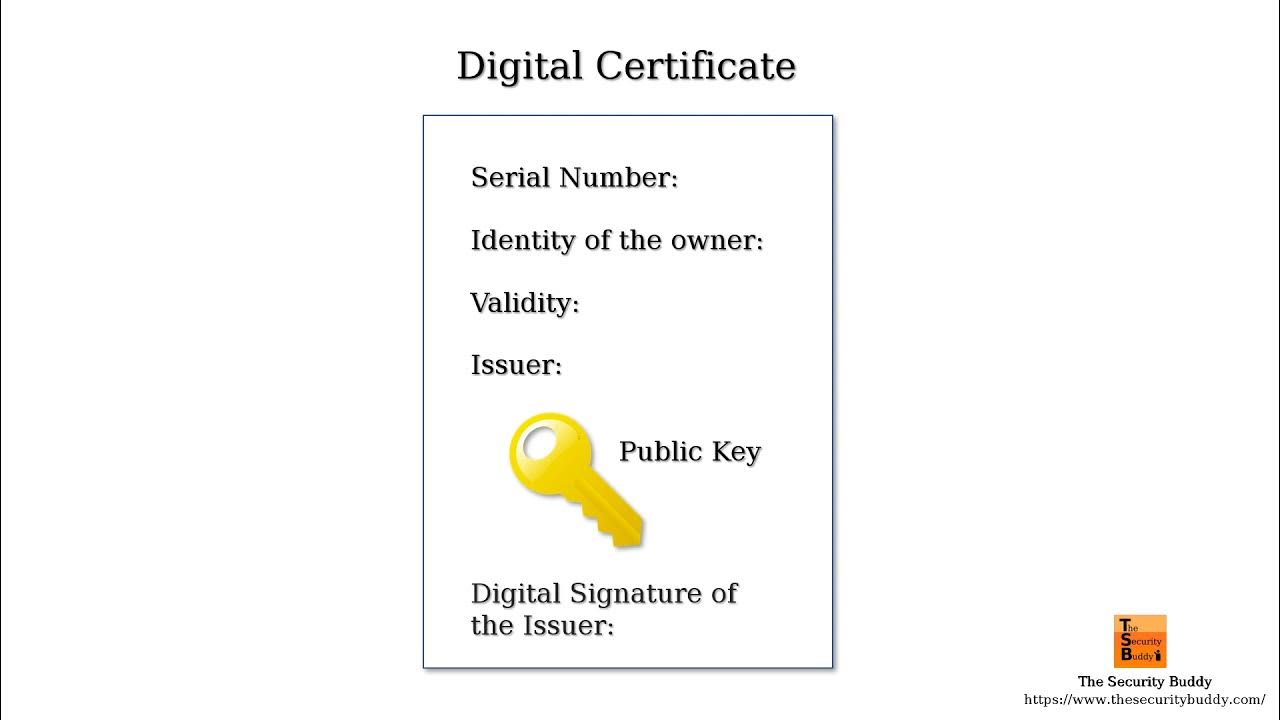 X509 certificate signed by unknown authority. X509 Certificate example.
