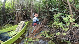 BUWU DI DESAK IKAN SAMPAI PENUH, HINGGA TAK MAMPU DI ANGKAT, AKIBAT AIR RAWA SEMAKIN SURUT...