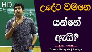 ගමේ කෙල්ලෙක්ගෙ ගෙදරින් උදේට ඇහෙන සද්දෙ 😂 | Dinesh Muthugala |