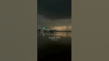 القارئ ياسر الدوسري - يا عباد لا خوف عليكم اليوم ولا انتم تحزنون
