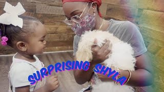 VLOG | Surprising Shyla With A…