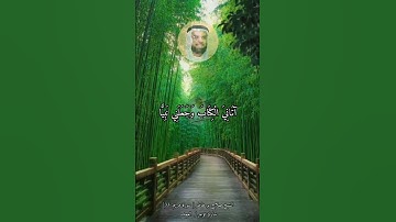 الشيخ صلاح بو خاطر [ سورة مريم: 33]شارك تؤجر /  العمده