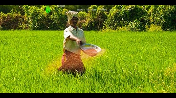 A startup that builds crop risk indices using geospatial data