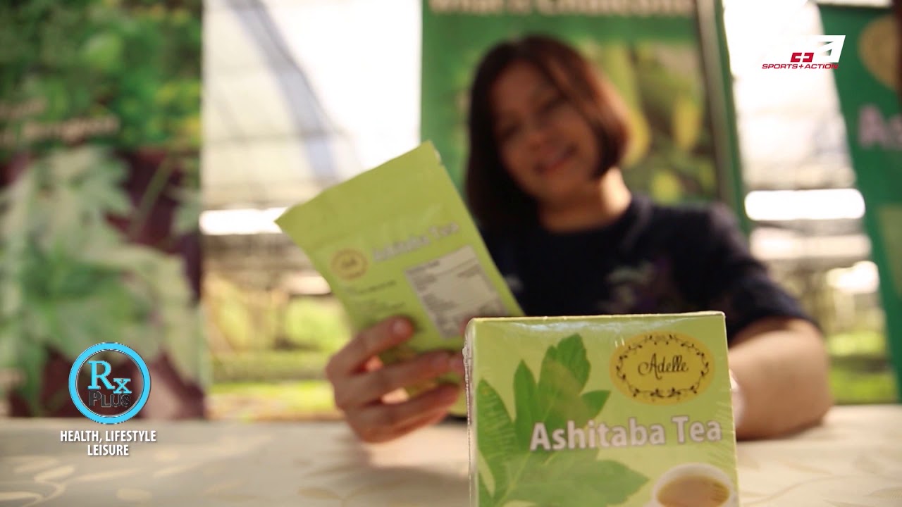 RX PLUS- ASHITABA- DIET AND THE AHSITABA TEA