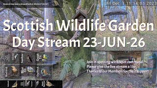 Day Stream June 23rd 2026 | Bird Feeders, Wildlife Cameras Scotland UK from SWG