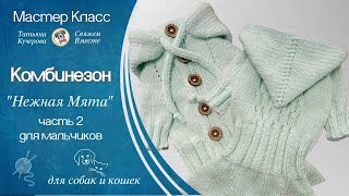 Комбинезон для собаки спицами, часть 2, Dog clothes