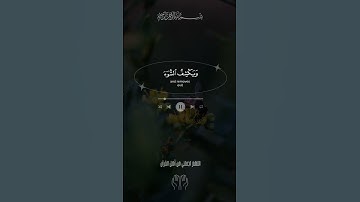 أمن يجيب المضطر إذا دعاه    ياسر الدوسري سورة النمل