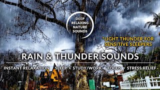 ⛈️ RAIN & Soft THUNDER Sounds for SENSITIVE SLEEPERS | #RainSoundsForSleeping #HeavyRainSounds #ASMR by Deep Relaxing Nature Sounds 55 views 1 year ago 3 hours