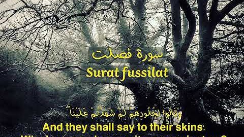 (وَقَالُوا لِجُلُودِهِمْ لِمَ شَهِدْتُمْ عَلَيْنَا) تلاوة خاشعة من سورة فصلت للشيخ د . محمداللحيدان.