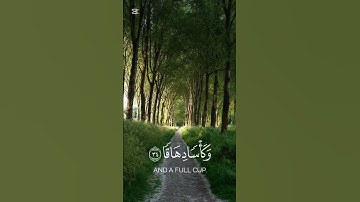 تلاوة هادئة من سورة النبأ 🕋🍃 أحمد النفيس 🍃🕋