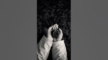 #رسالة نور  ...لكل قلب يبحث عن الطمأنينه #دعاء # قرآن # اذكار  #قصص_واقعية #